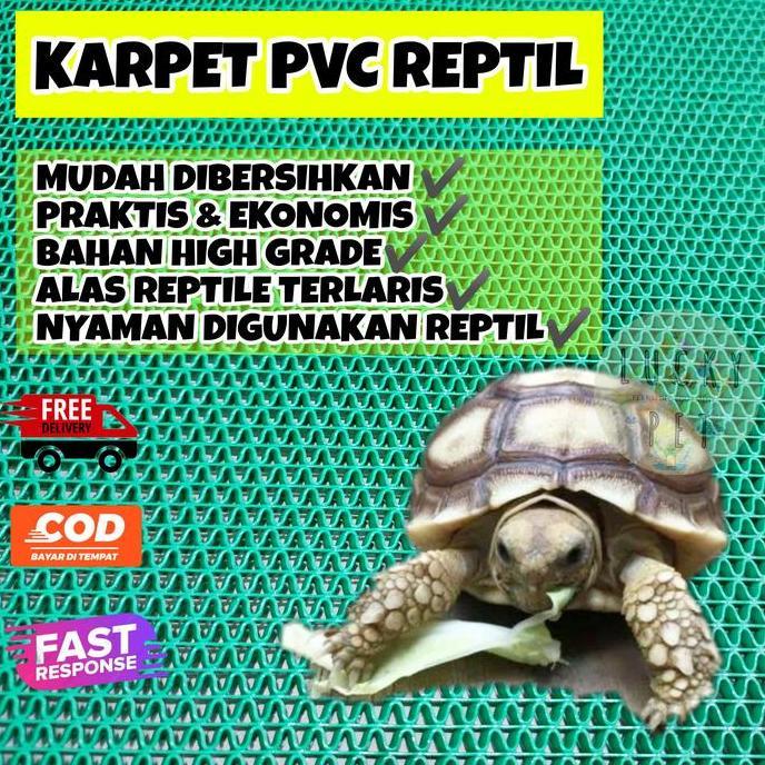 Kickbit- Karpet Pvc Alas Kandang Torto 30X60 Cm Kura Kura Darat Sulcata Reptil