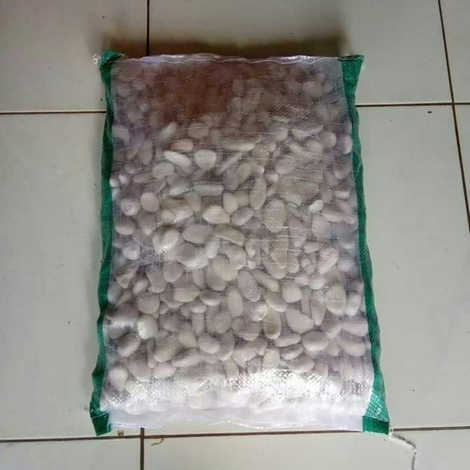 Batu koral putih 10kg - batu koral putih untuk hiasan taman