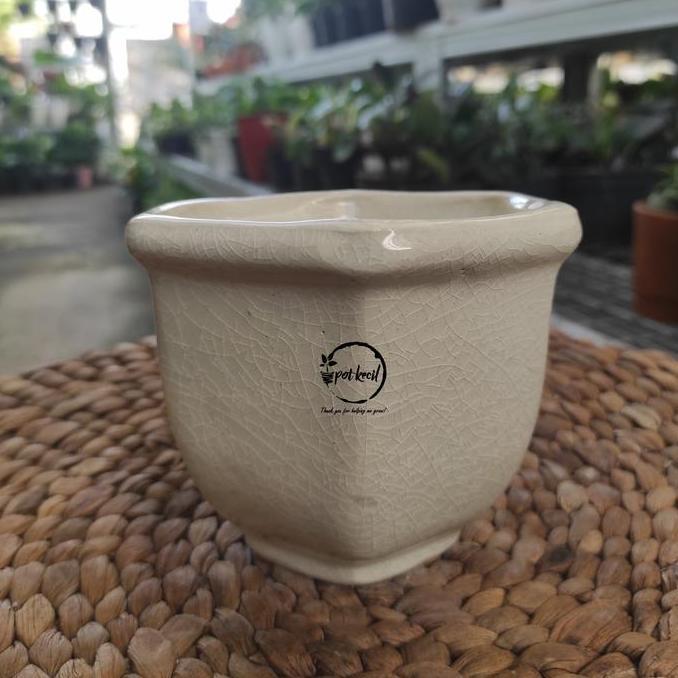 Pot Keramik Cream Segi 6 / Pot Tanaman / Pot Keramik