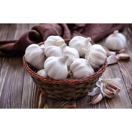 Bawang Putih Honan KOTOR