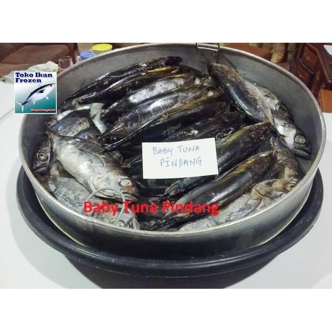 Nyumi- Ikan Frozen : Ikan Robus Medan & Baby Tuna & Cakalang Pindang / Frozen