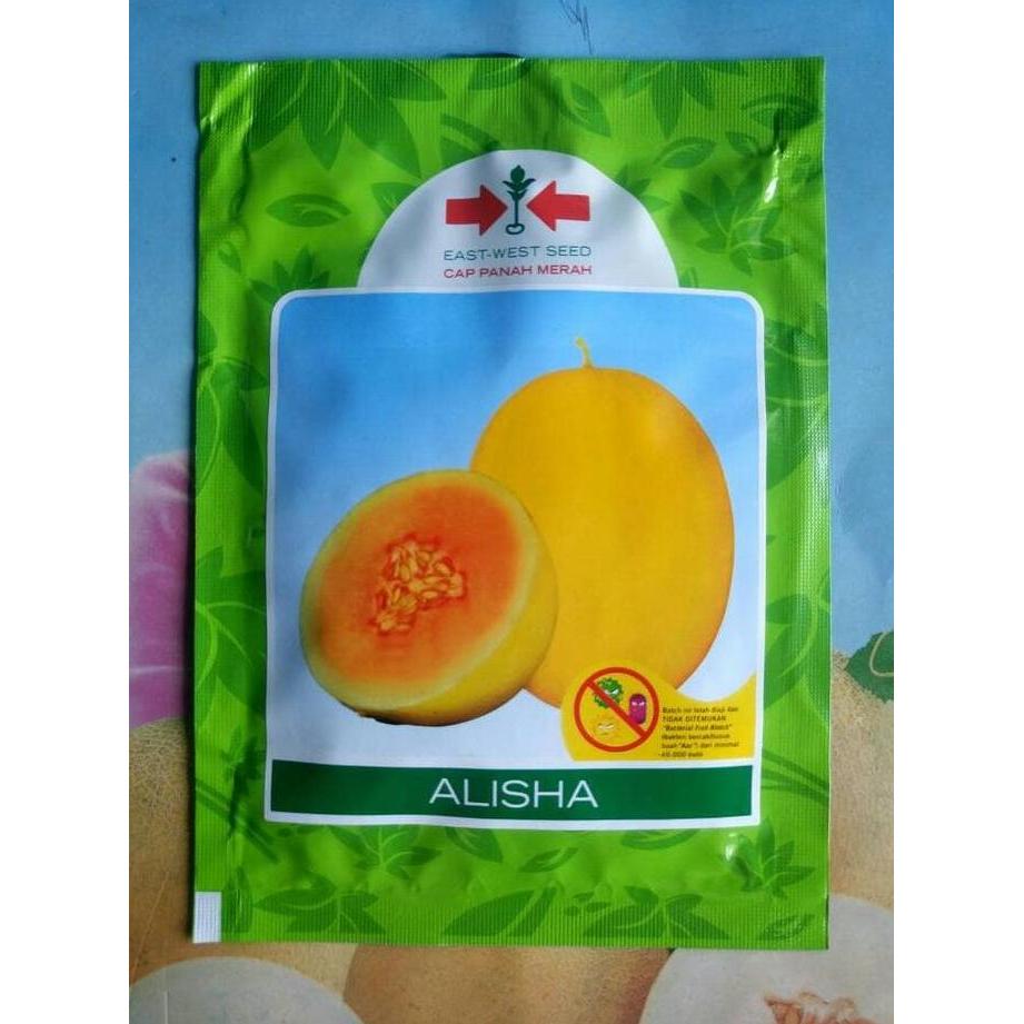 Melon Golden ALISHA 400 Biji