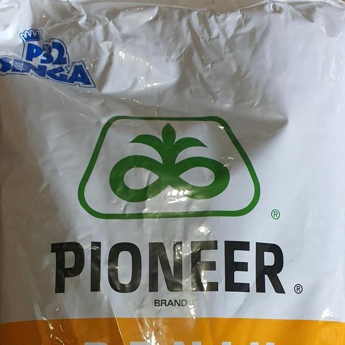 Benih Jagung Hibrida Pioneer P32 Singa