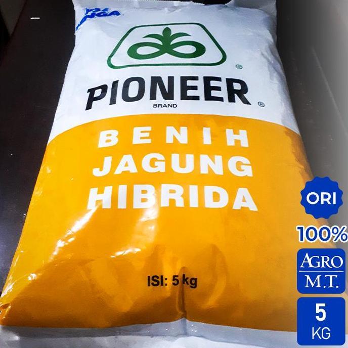 Benih Jagung Hibrida P32 Singa (5KG) - PIONEER