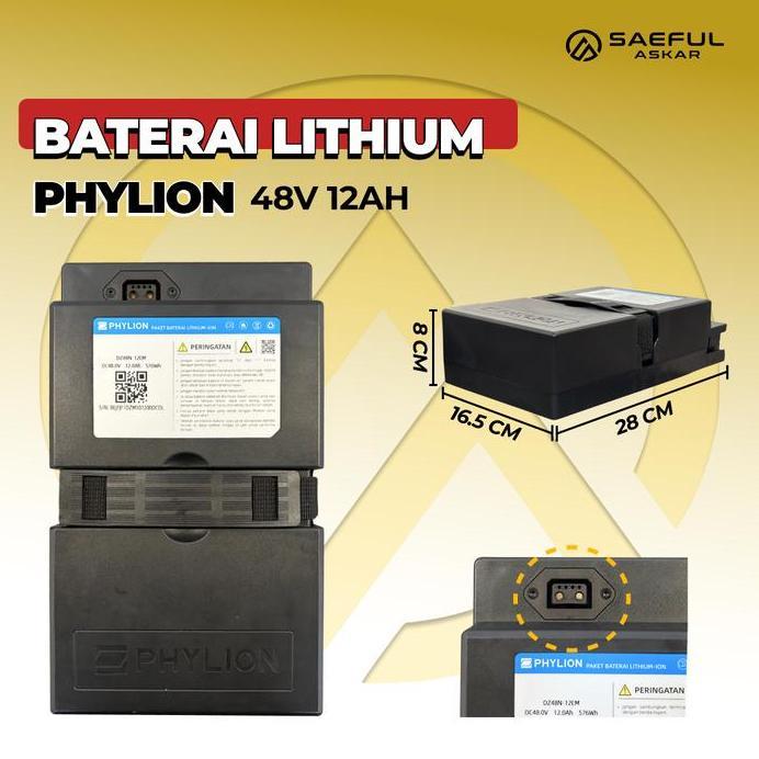 Phylion Baterai Lithium Sepeda Listrik 48V 12Ah Motor Listrik 48V 20Ah lithium Pabrikan Garansi 2 Ta
