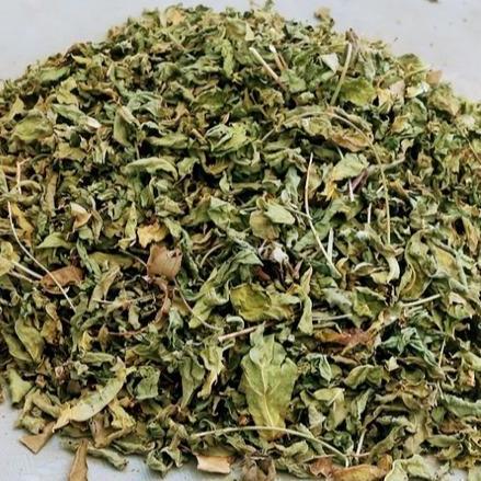 DAUN KATUK KERING 100 GRAM DAUN KATUK BANYAK MANFAAT Alqshop