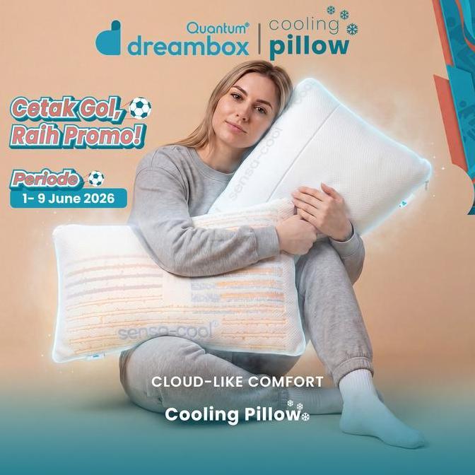 Quantum Dreambox Cooling Pillow / Bantal Dingin / Dual Comfort
