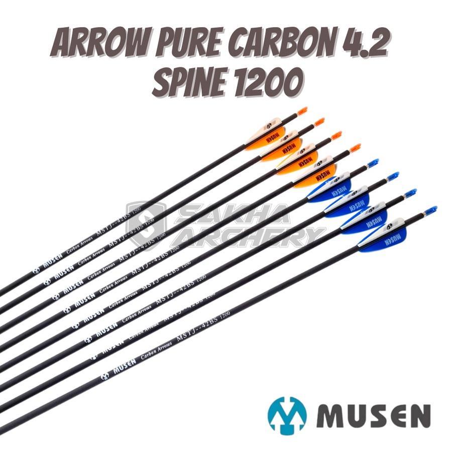 Arrow Musen Pure Carbon 4.2 Spine 1200 - Mstj 42Bs