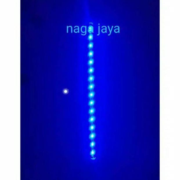 Lampu aquarium  led 50 biru pack pipa pvc lampu celup aquarium 50 cm biru