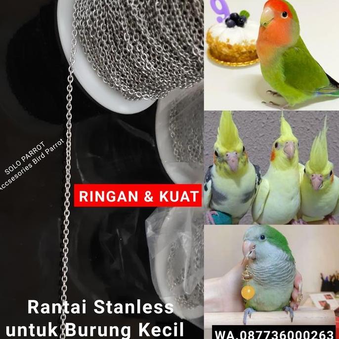 ;&;&;&;&] Rantai Stanless Meteran untuk Burung Burung Kecil