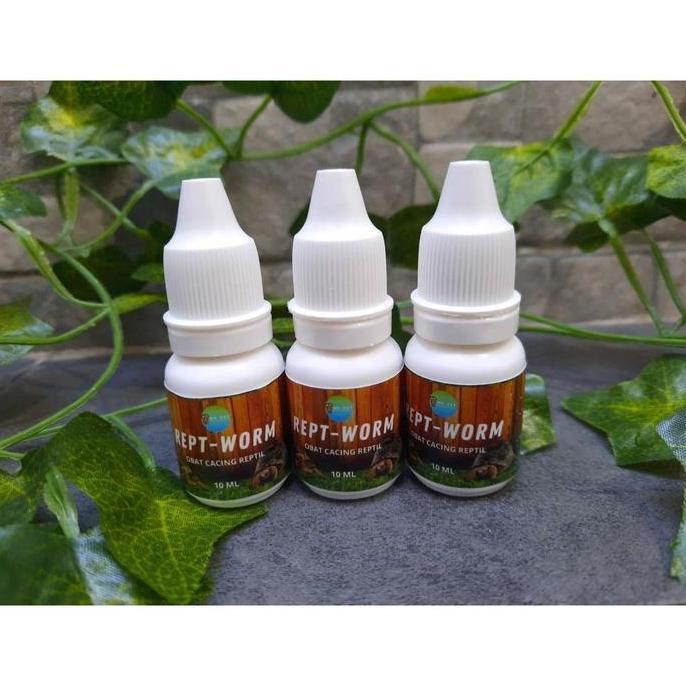 REPT-WORM OBAT CACING REPTIL KURA DARAT SULCATA FORSTENI PARDALIS