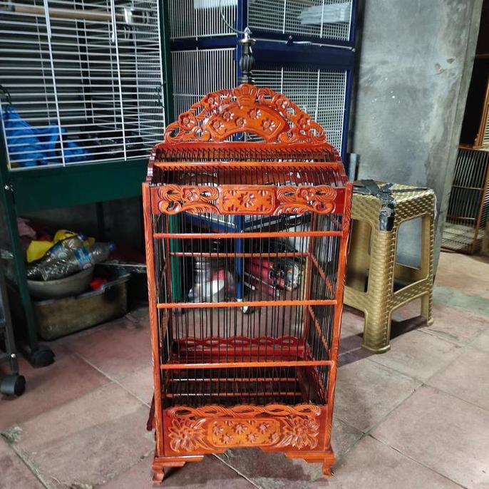 Sangkar Burung Robin,Kenari,Kinoy,Srdc,Dll Ukiran Terlaris.