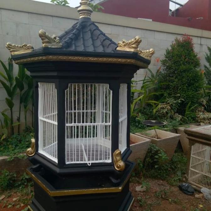 Kandang Beton Ayam Bekisar, Bangkok, Cemani, Dan Ayam Hias Lain Nya