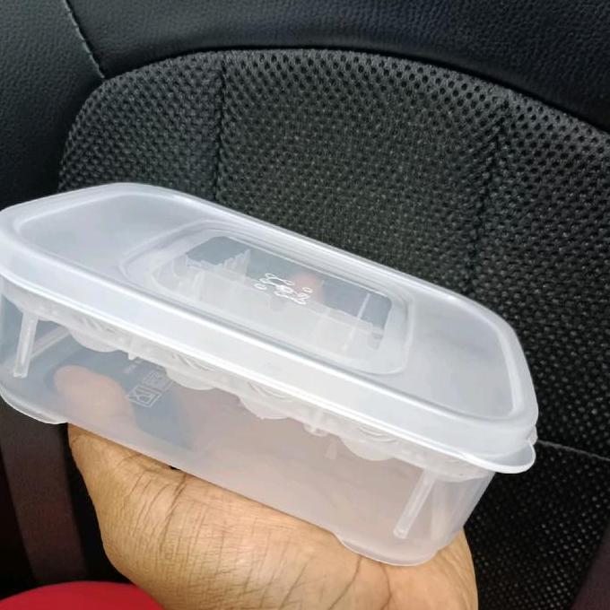 Egg incubator reptil tempat incubasi telur reptil gecko bearded dragon corn snake dll