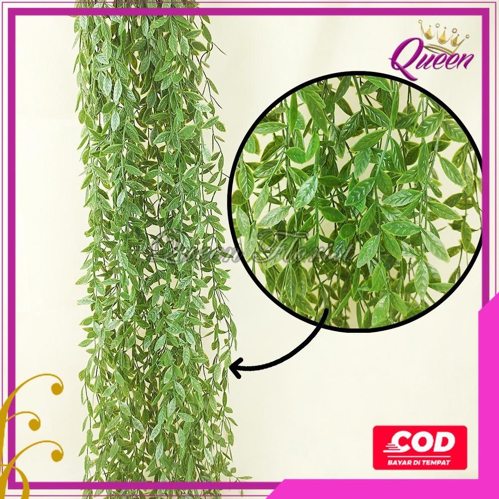 PROMO [COD] DAUN JUNTAI LIKANYU LEE KWAN YU HOYA COSTA PLASTIK ARTIFICIAL - TANAMAN GANTUNG HIAS DEK