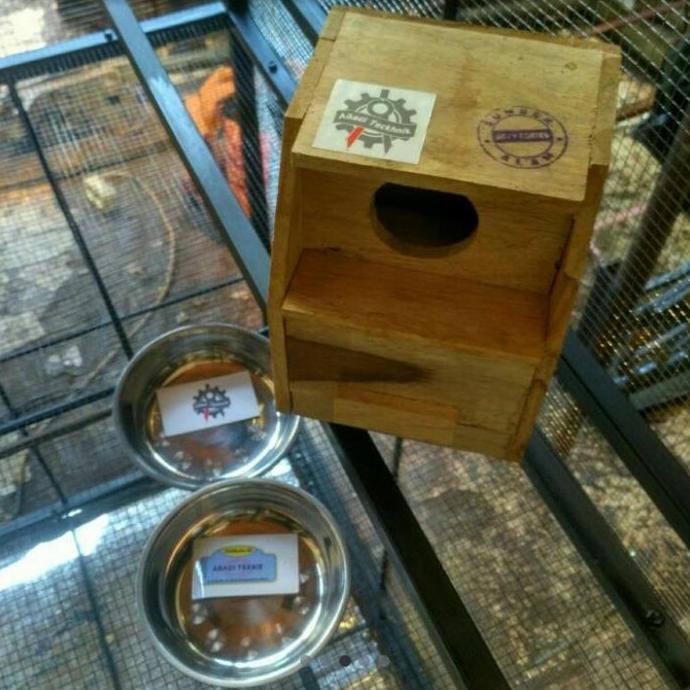 SANGKAR KANDANG UMBARAN TERNAK BURUNG KOLONI LOVEBIRD MURAI ALBINO murah