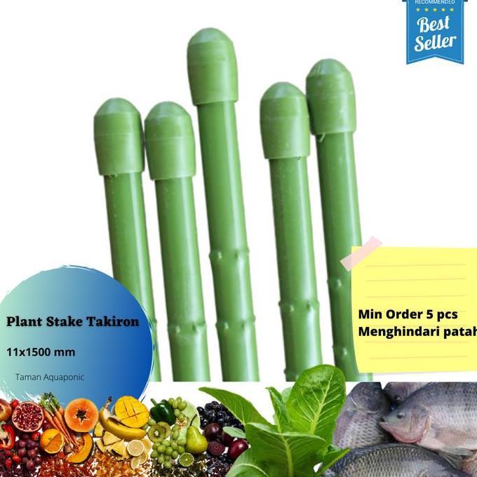 Plant Stake - Ajir Tanaman Modern 11x1500 mm 5 pcs