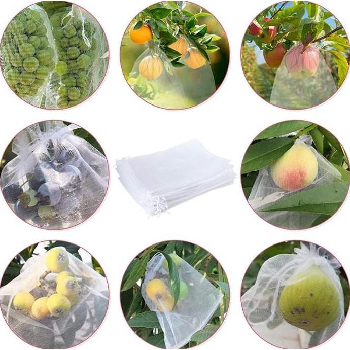 Fruit cover net jaring transparan pembungkus buah Kelengkeng Anggur dl