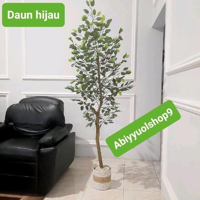 Pohon Beringin Varigata Artificial Aesthetic Natural Design LATEX dengan Tinggi 170cm dalam Pot Plas
