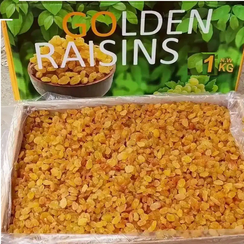 Kismis Raisin Asam Manis 1Kg / Kismis Golden Raisin