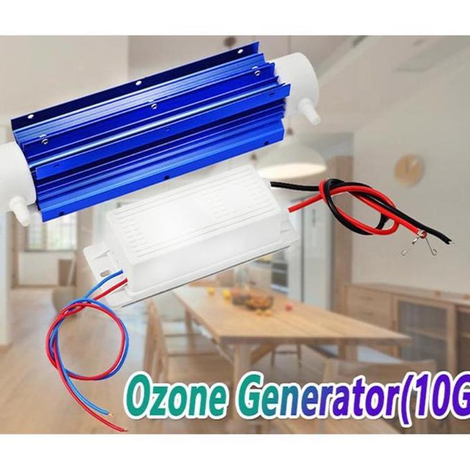 220V 10G Ozon Tabung Generator Pendingin Udara Bahan Keramik Air Tabung Air Pemurni Air Pemurni Air 