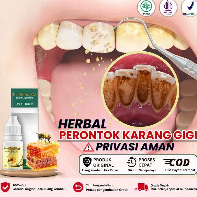 Penghilang Plak Gigi, Perontok Karang Gigi Membandel Sudah Bpom dan Halal 100% Terlaris Propolis