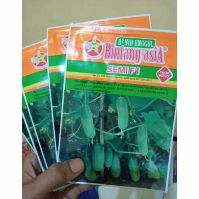 Bibit mentimun/benih timun baby BINTANG ASIA SEMI F1 isi 20gram expayert 1-2026