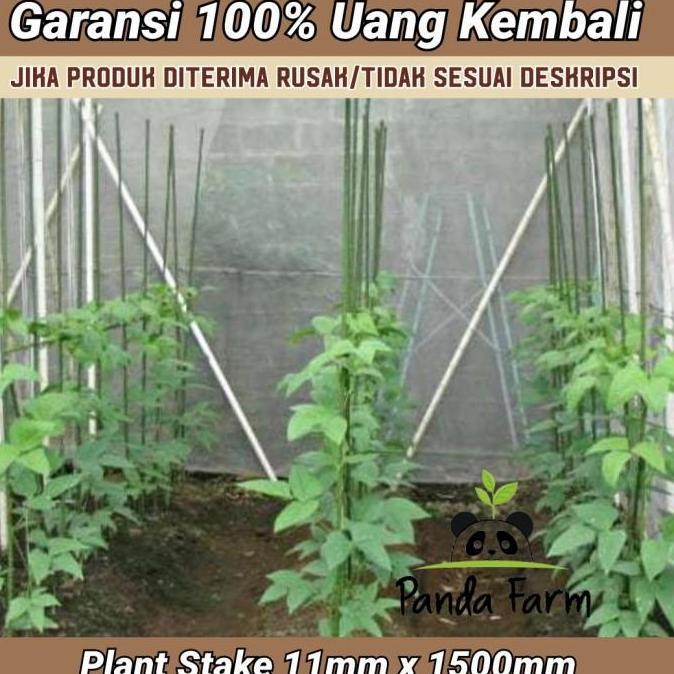 Ajir / Penyangga Tanaman Takiron Plant Stake 11 x 1500 mm