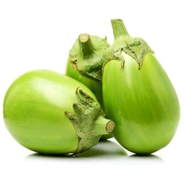 250 BUTIR BENIH TERONG LALAP BULAT PONDOH BESAR