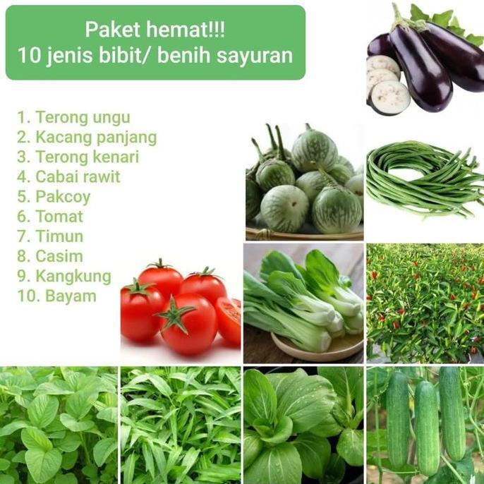 Paket benih bibit sayuran isi 10 jenis sayuran dan buah