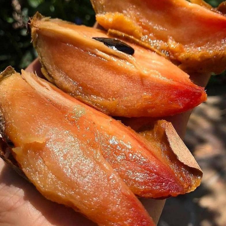 Bibit Buah | Sawo Mentimun |Bibit Cangkok I jaminan cepat Berbuah