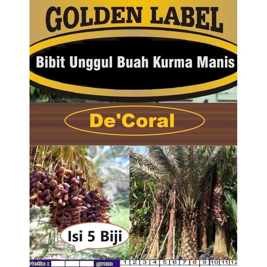 Bibit Unggul Buah Kurma |Biji Pohon Kurma |Bibit Kurma produk laris