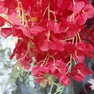 Fiore- Bunga Wisteria Jumbo 12 Pcs 1 Lusin Harga Grosir Tanama Bunga Plastik Buatan Hias Dekorasi Bu