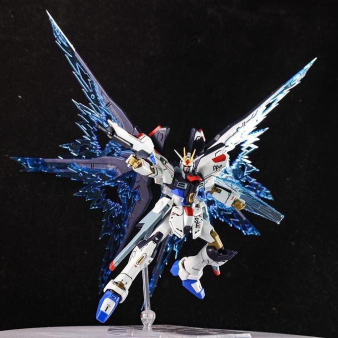 Whyyou- Gaoke 201 Hg 1/144 Strike Freedom Revive Fighter Mode Kit
