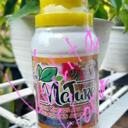 Pupuk Cair Aglonema Nature