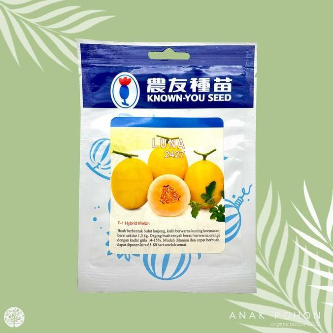 Ready (1 PACK - 20 GRAM) Benih Melon Golden Kuning Luna 2427 F1 Seed - KYS