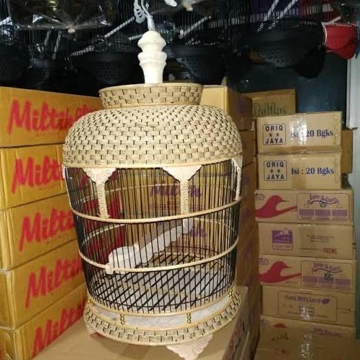 PROMO HARI INI - KANDANG BURUNG PERKUTUT ROTAN MODEL RAJUT - SANGKAR BURUNG PERKUTUT