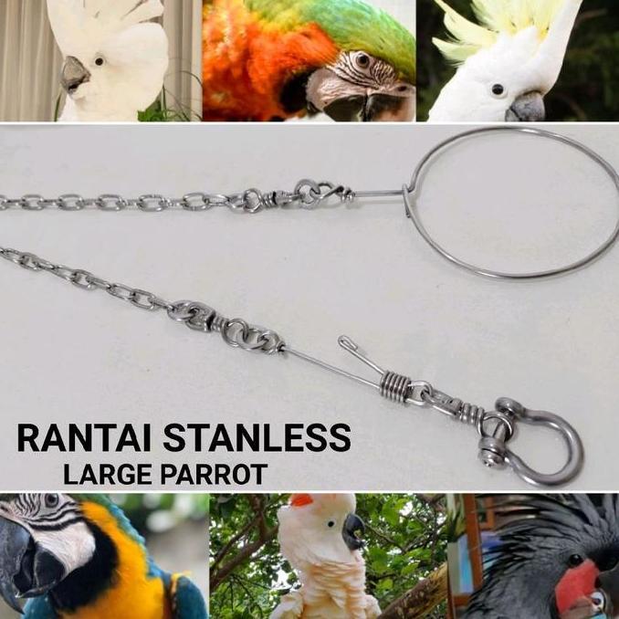 TERBARU - Rantai Kakatua TRITON Ring Omega