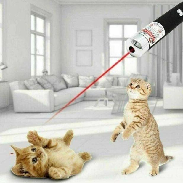 BZSDA Gantungan Kunci Red Laser Pointer Tunjuk Senter Lampu Mini 2in1 2 in 1 Red Dot Mainan Anak Kuc