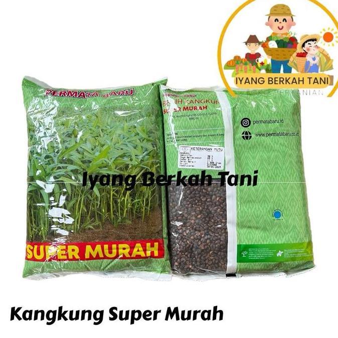 Benih Kangkung Super Murah Kemasan 1 KG - Bibit Kangkung 1 KG