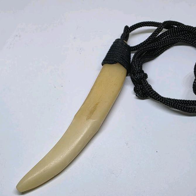 Kalung leontin kucan tarcan hoby