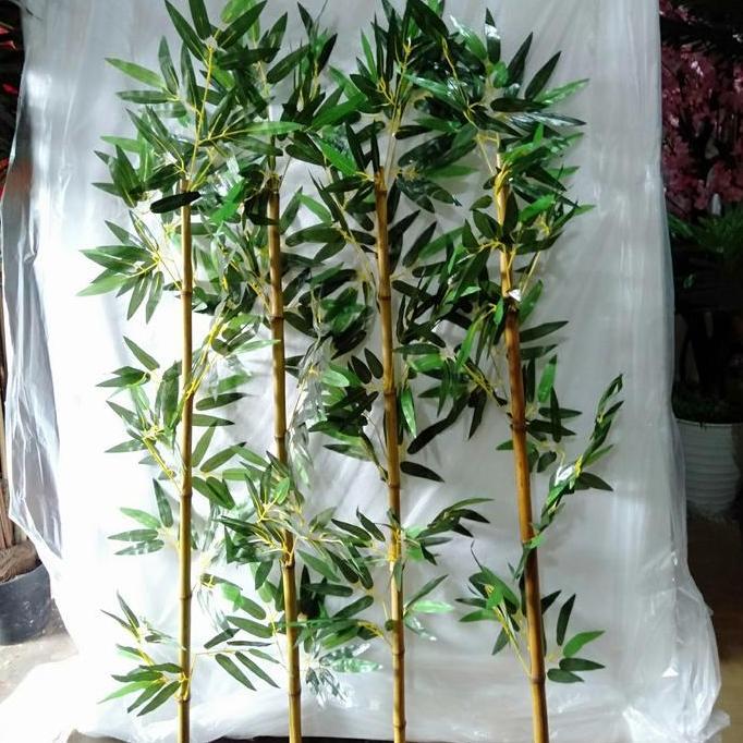 CLEARANCE SALE - Pohon Bambu Partisi Cendani Batang Asli Tinggi 100cm Total dengan daun tinggi 120cm