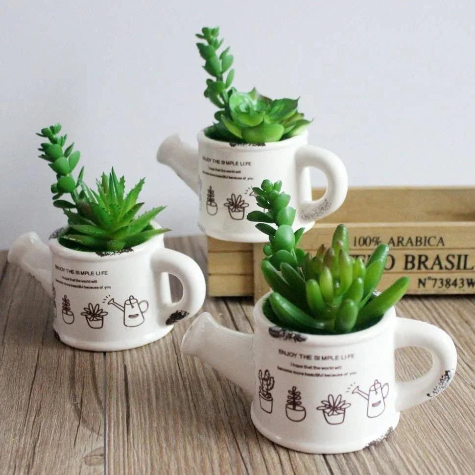 CUCI GUDANG Kaktus Sukulen Plastik Latex Tebal Ukuran Sedang - Kaktus Palsu Artificial - Tanaman Kak