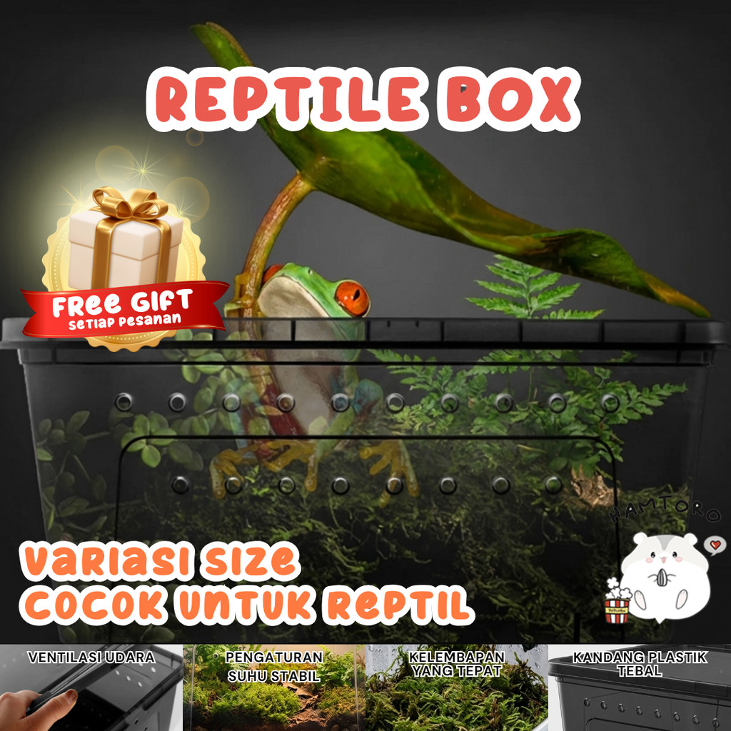 Hamtoro Gecko Box Kandang Besar Feeding Hamster/Reptil/Gecko