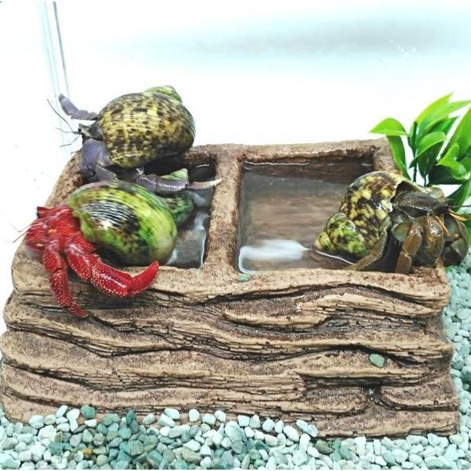 Ready WD016B WATERDISH FEEDING FOODDISH 2IN1 RAMP TEMPAT WADAH AIR MINUMAN MANGKUK MAKAN MINUM KELOM