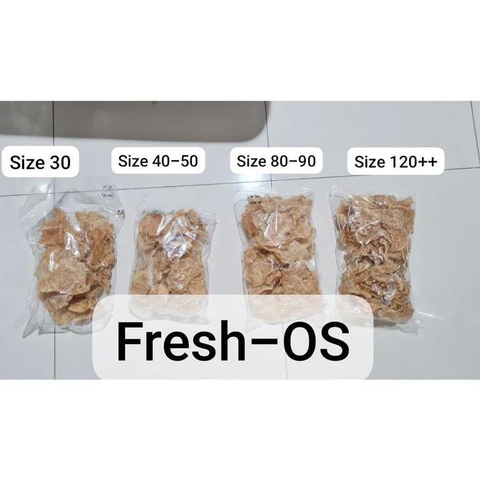 perut lambung ikan kering yiphiau yi phiau hepio hupio hipio hu pio