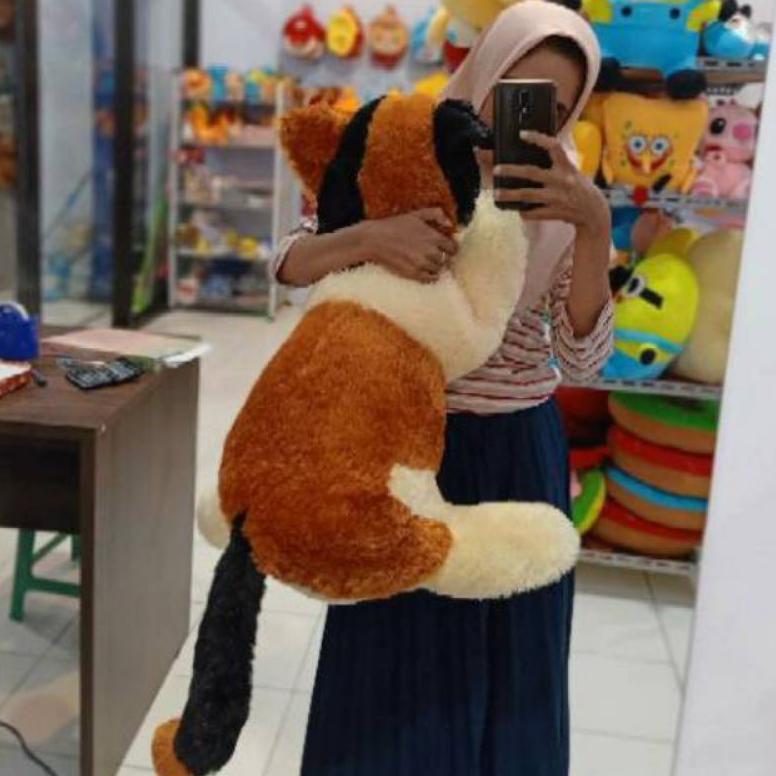 Discount Boneka Kucing Jumbo Termurah
