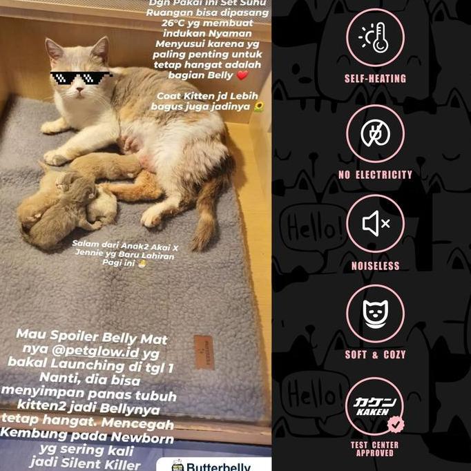 Petglow Baby Bear Belly Mat Anti Kembung Heating Pad Kucing Tanpa Listrik