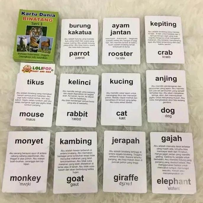 Kartu Binatang Seri 1 Flash Card Bayi Murah Hewan - Mainan Edukasi Ana