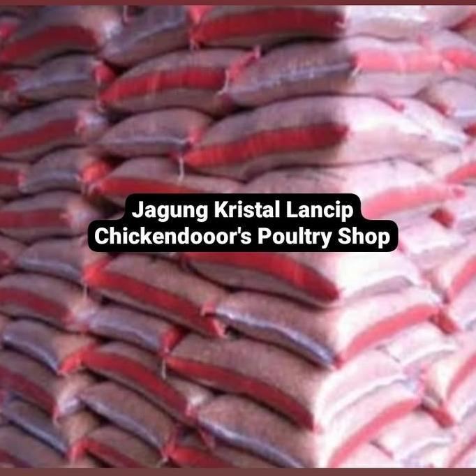 JAGUNG KRISTAL LANCIP BURUNG DARA MERPATI KOLONG BEBEK AYAM KATE 25KG